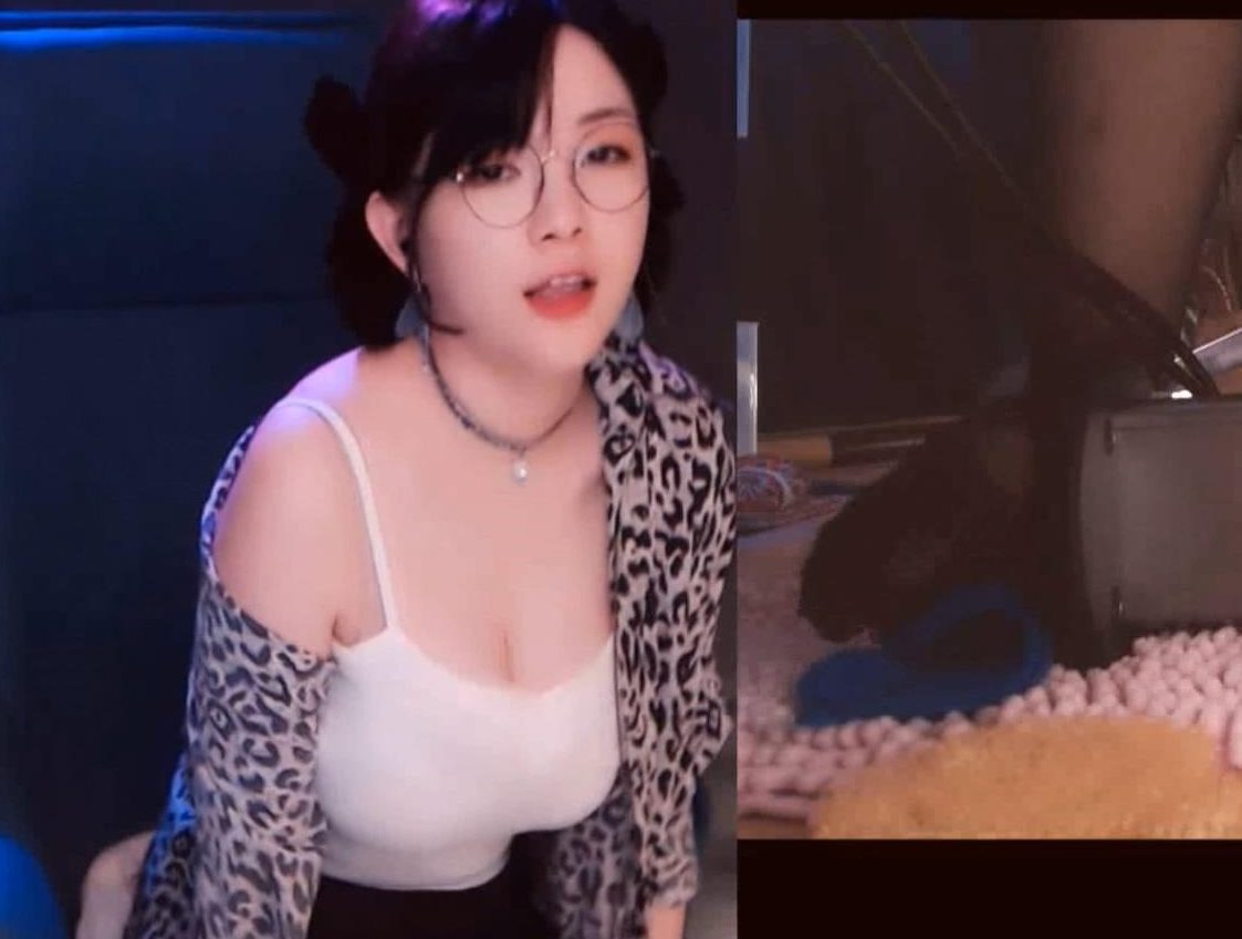 肉松艾福利魔法书视频合集