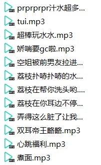 不甜荔枝舰长音频合集