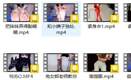 你的圈圈视频资料合集