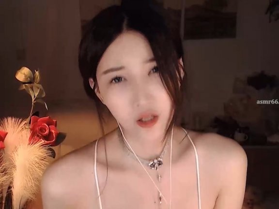 小太阳贼大魔法书骑马在线视频