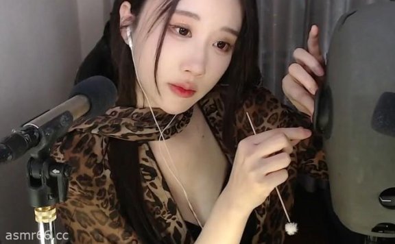 轩子巨2兔人头麦克深夜助眠